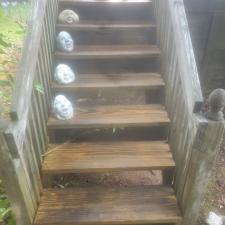 Deck Cleaning in Gaffney, SC 4